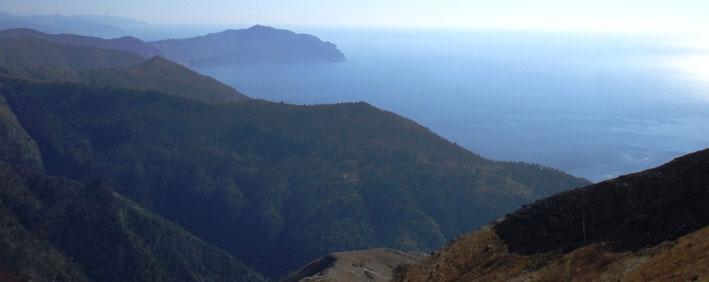 panorama